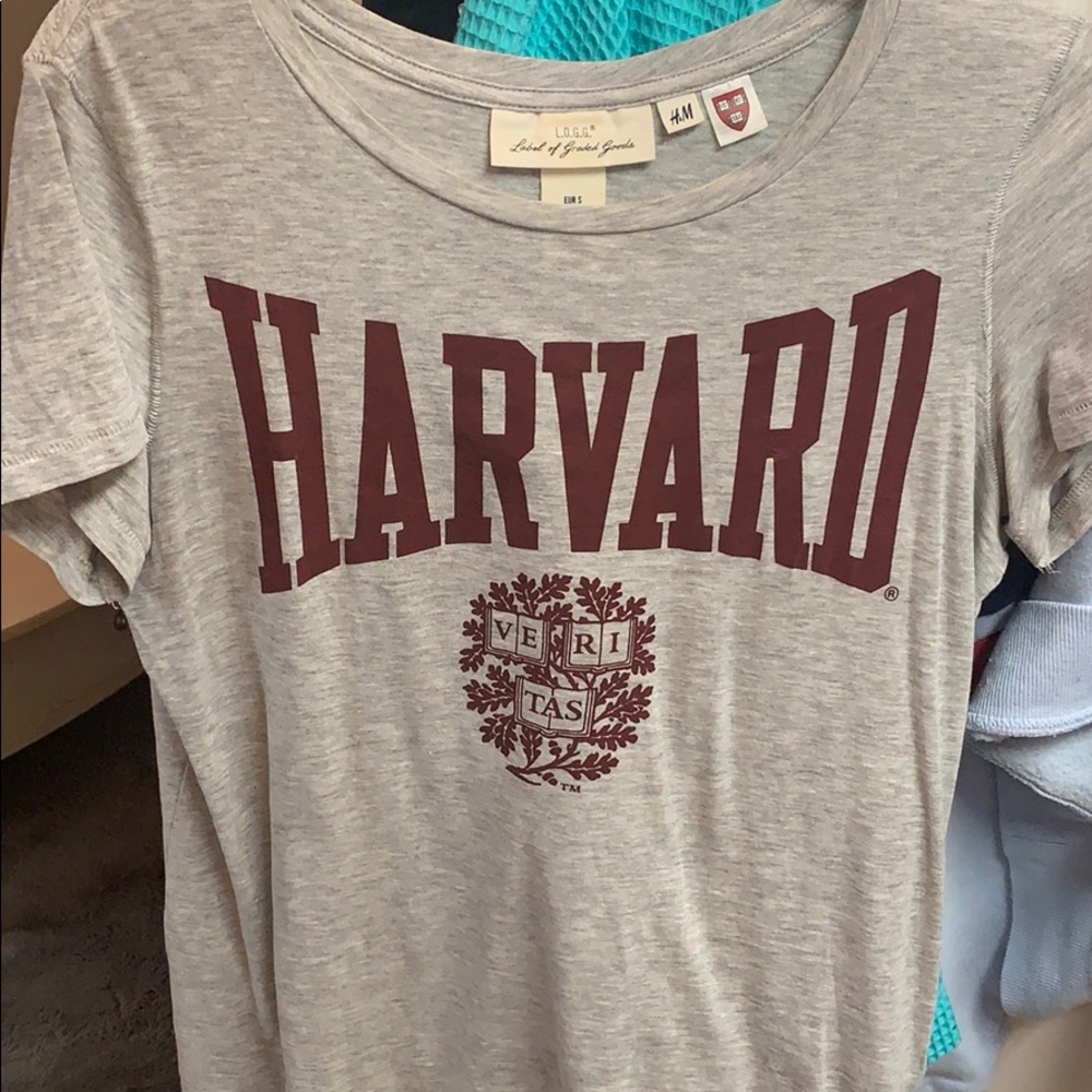 Harvard shirt